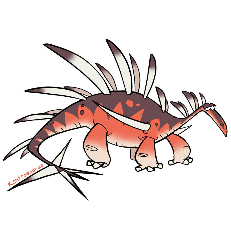 Kentrosaurus Kentrosaurus
