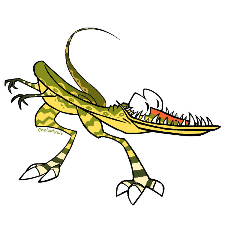 Coelophysis Coelophysis