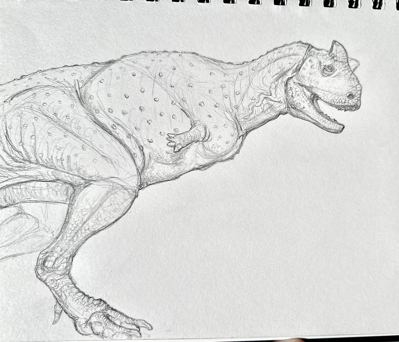 Carnotaurus, graphite Carnotaurus, graphite